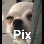 VOCÊ ESQUECEU
DE MIM