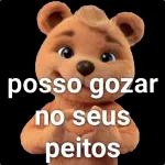 ursinho