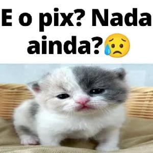 nu1kfQ