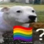memes
