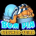 Segunda-feira 🐱