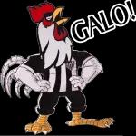 galo