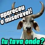 E MEMO E?