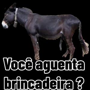 Você aguenta brincadeira?  - getsticker.com