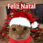 Natal, lá vou eu!!🏍️