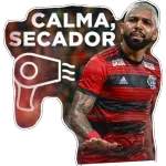 flamengo futebol