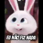 raiva 