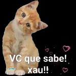  Boa Noite
Que Deus
abençoe você e
sua família.