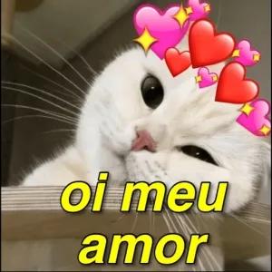 DSMFT1
