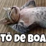 faz meu pix
