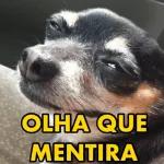 ROGERIO
AVILA
qui conteceu ?!