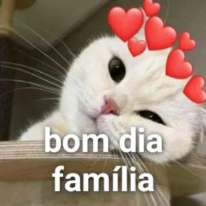sXGFPB