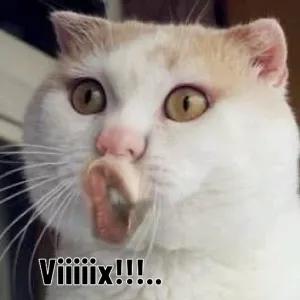 4cuvpS