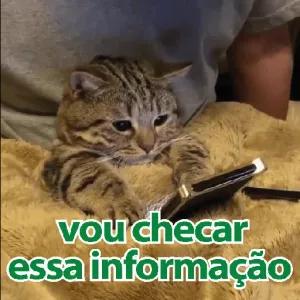 umtsjej