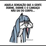 A DOCINHO do GRUPO CHEGOU!!!