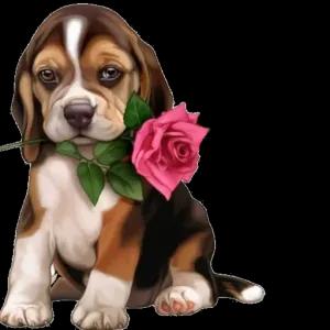 BOM DIA  - getsticker.com