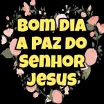 bom dia, boa tarde
