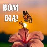 Bom Dia 