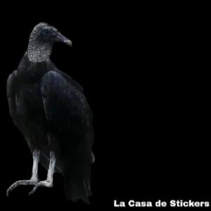 G15NgQ