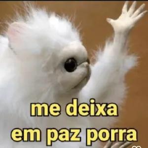 pnEIv4