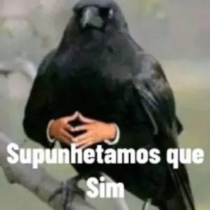 o50Zqr