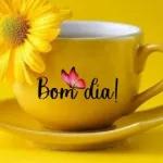 BOA NOITE!