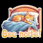 Boa noite 