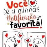 Você é a minha Notificação favorita!