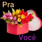 pacote