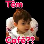 NÃO TOMO JUIZO porque JÁ TOMO CERVEJA e não sou de MISTURAR