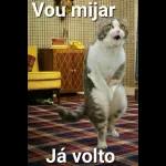 minhas 