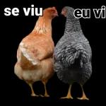 se viu eu vi