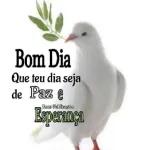 Que Deus dê um dia de muita Paz, Amor e Felicidade! Estrela de Minas Bom Dia
