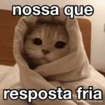 vida