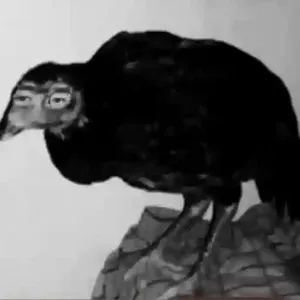 ewuCuI