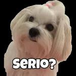 SERIO?