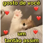 socializar? nada a ver, eu vo eh dormir
