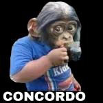 KidsCONCORDO