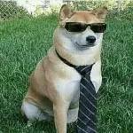 só animais 😂