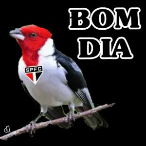 BWCjBV