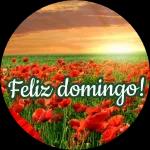 Feliz domingo!