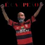 Flamengo Campeão 🏆