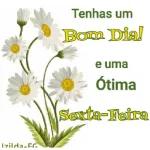 Bom dia