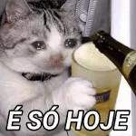 sextou é para beber🥳