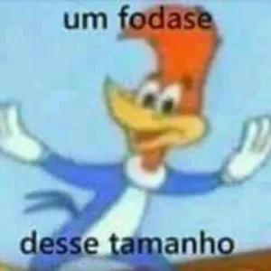 2aZpLo