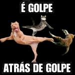 a culpa e sua 
