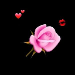 myfb7w