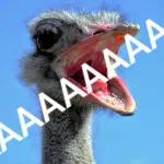 Eita... eita....eita