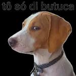 Vim só dar um "oi" se eu der os dois eu fico cego.