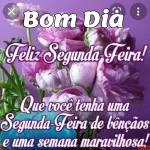 segunda feira 